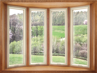 Window and door product option